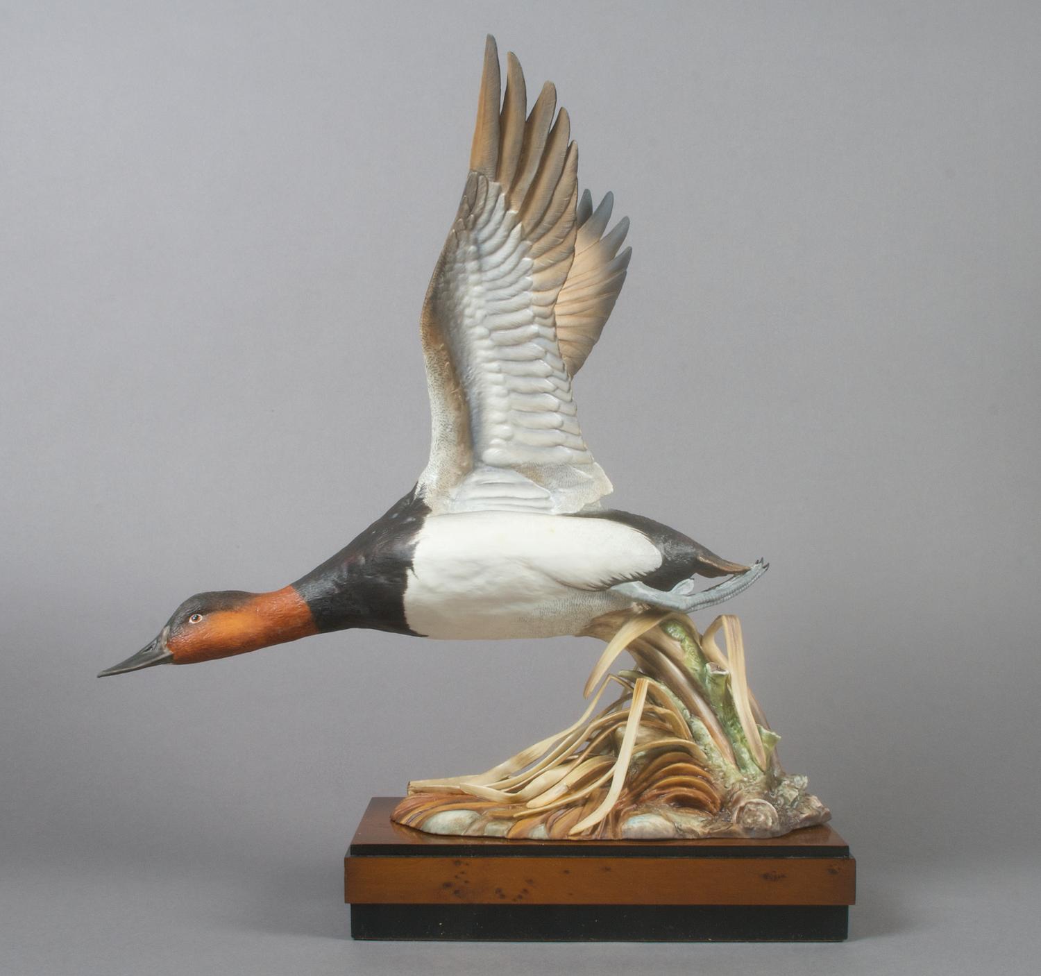 A Royal Worcester Bird, Canvas Back Duck, Height 17 inches.