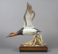 A Royal Worcester Bird, Canvas Back Duck, Height 17 inches.