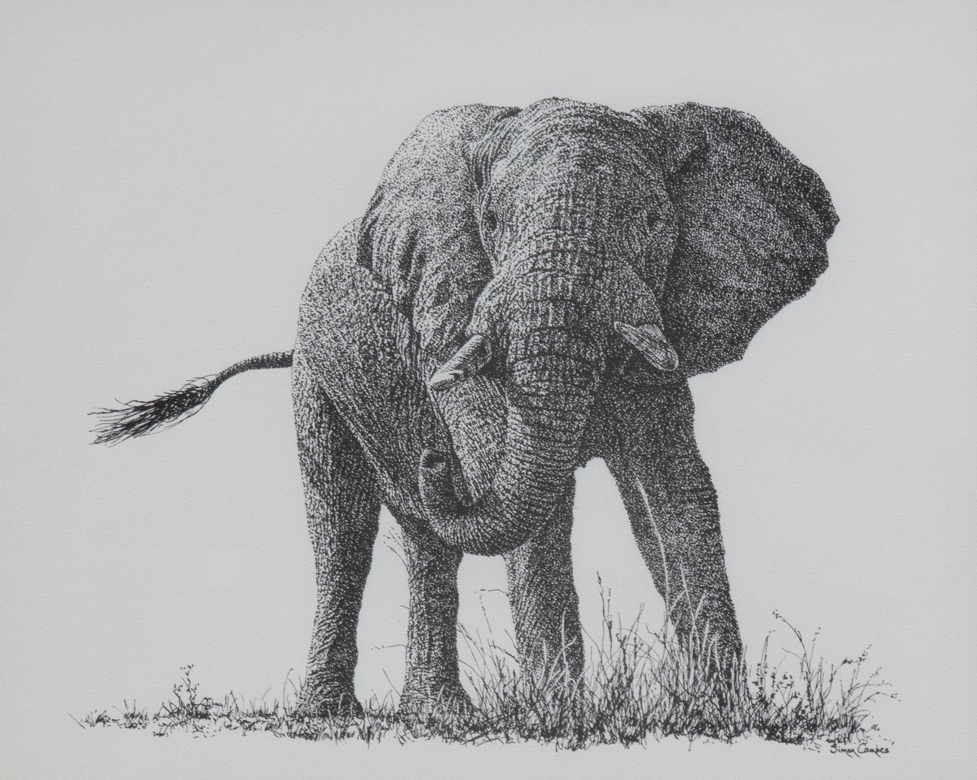 Africa's Big Six