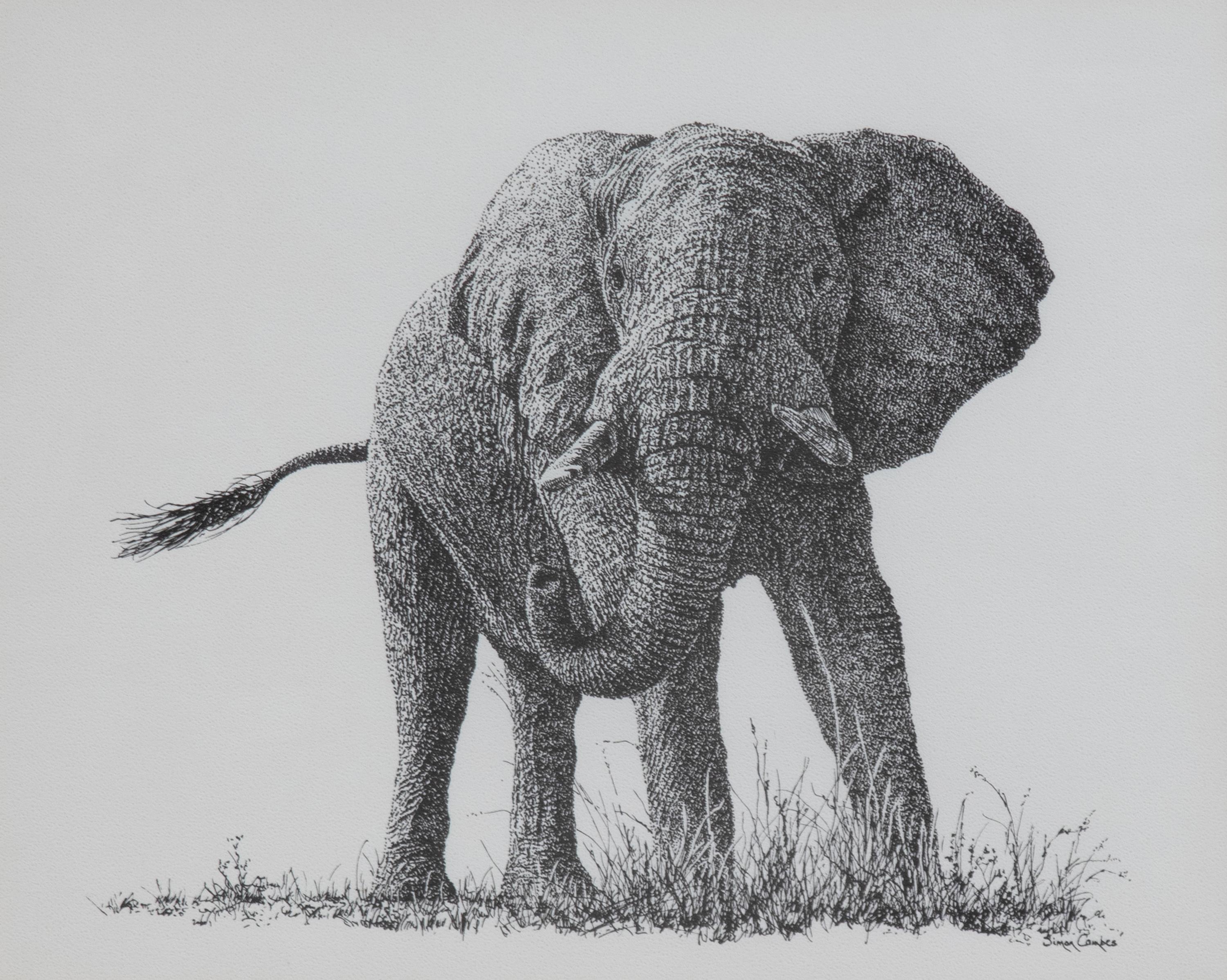Africa's Big Six