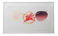 James Rosenquist, (American, b. 1933), Spring Cheer, 1978