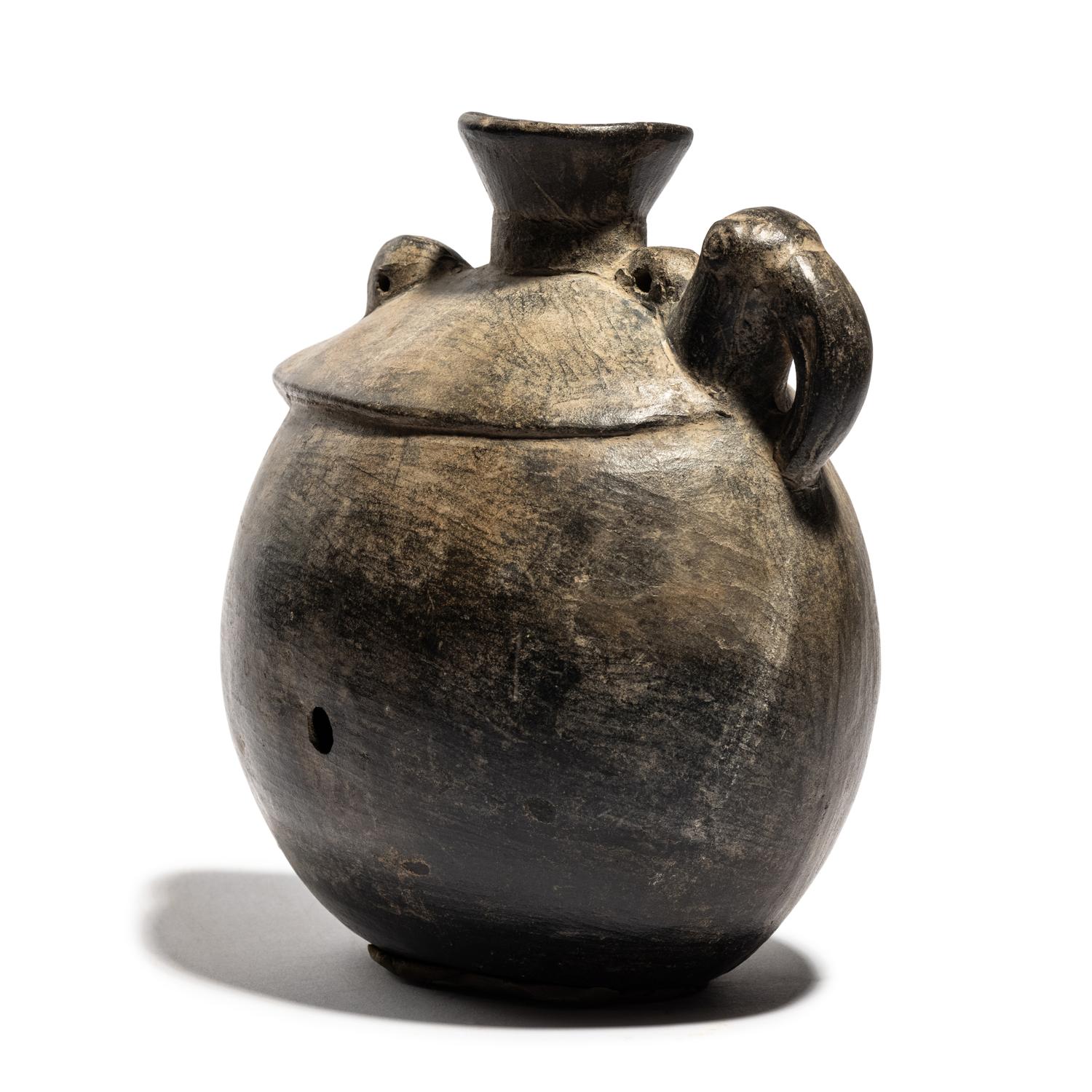 A Chimu Bird Effigy Vessel