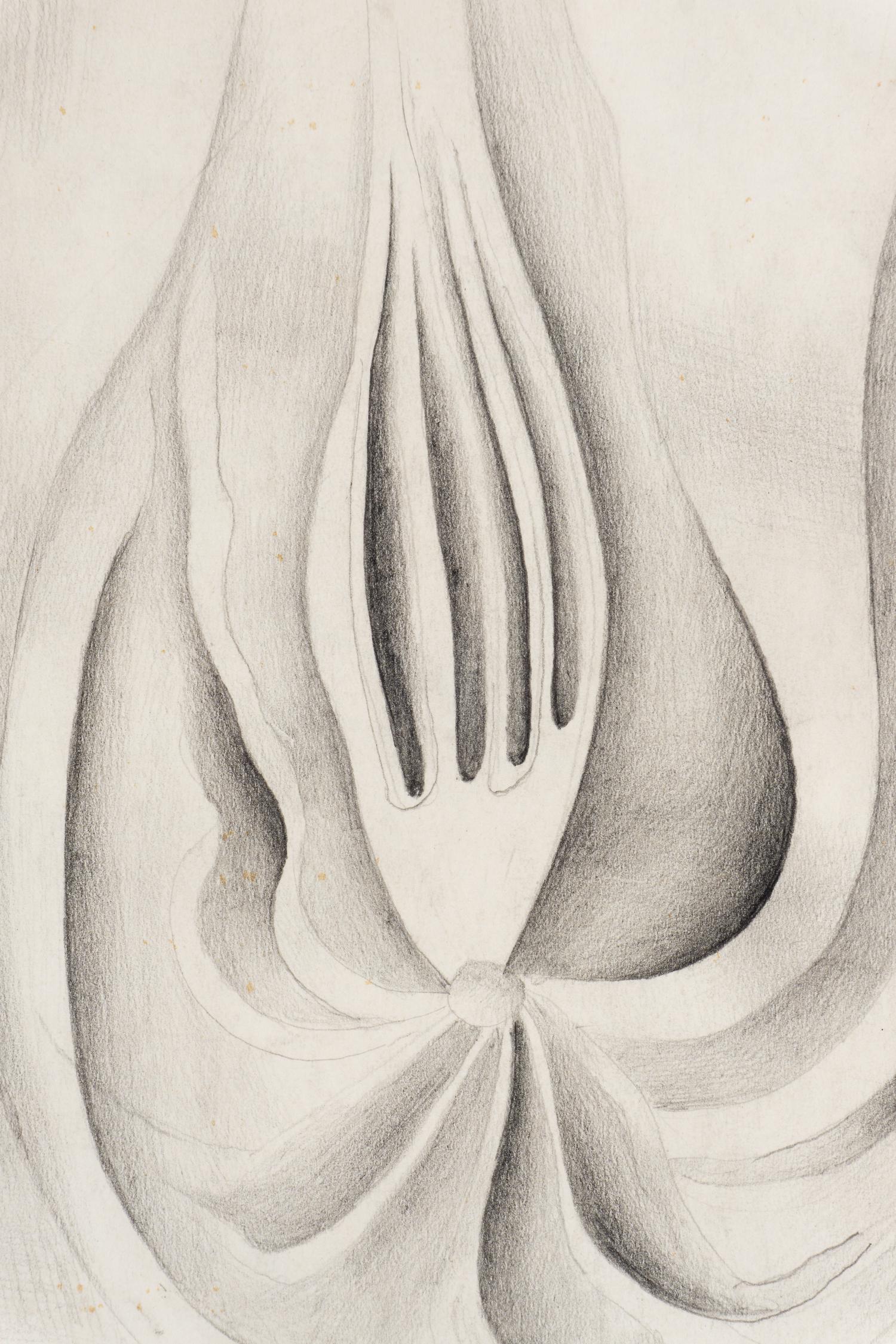 Tête de Comète , 1931