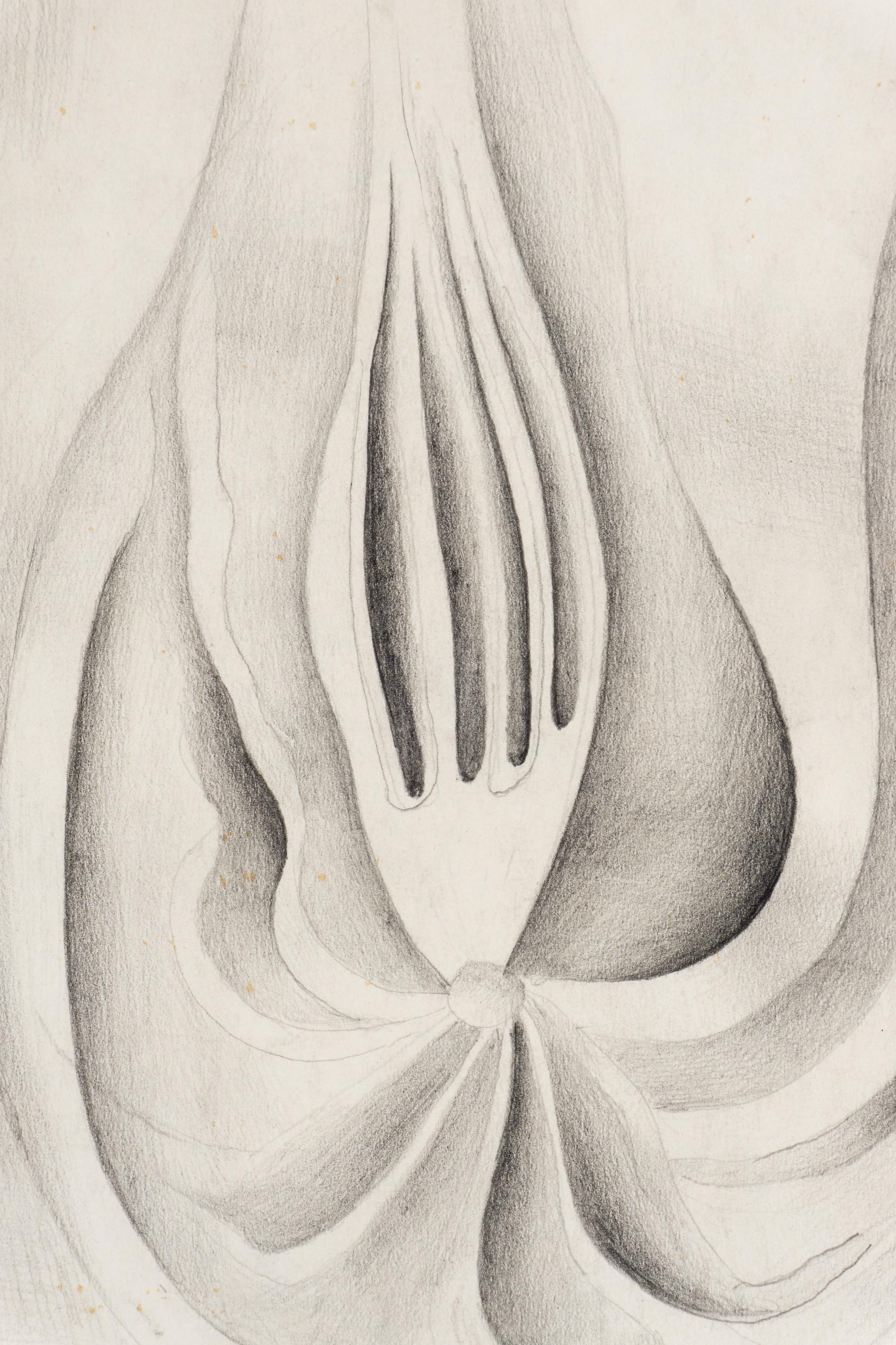 Tête de Comète , 1931