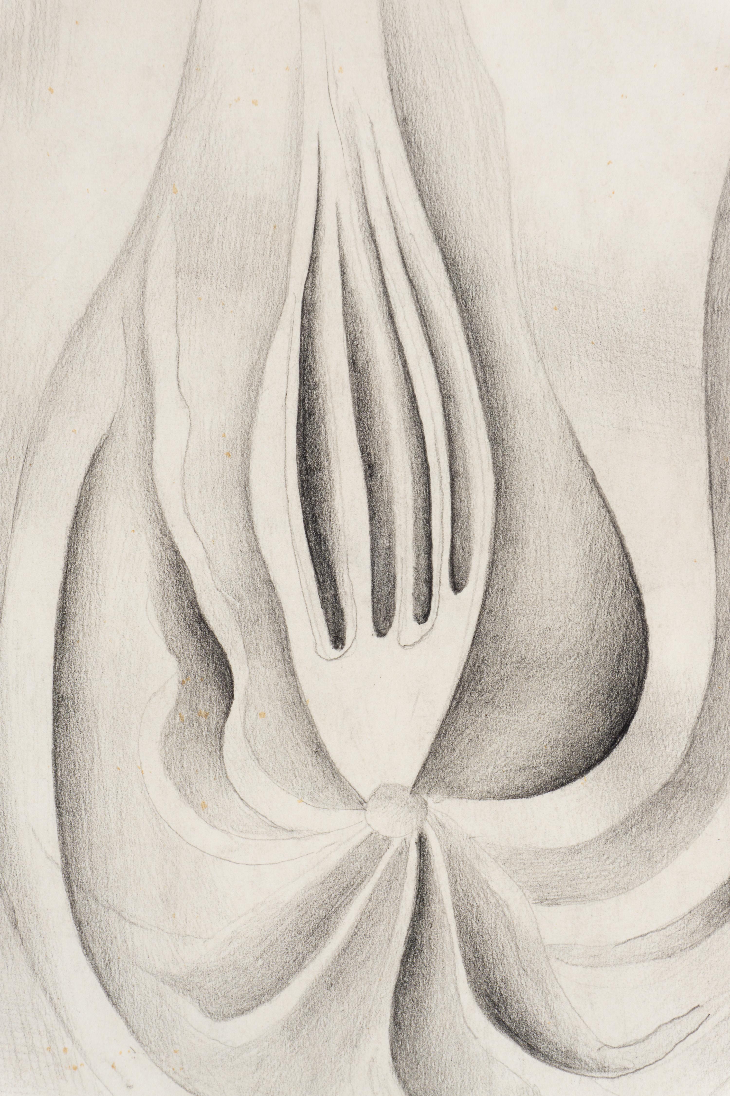 Tête de Comète , 1931