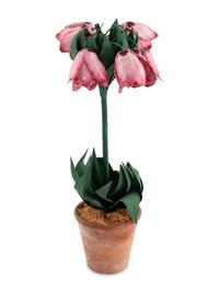 A Group of Tole and Porcelain Models of Flowers