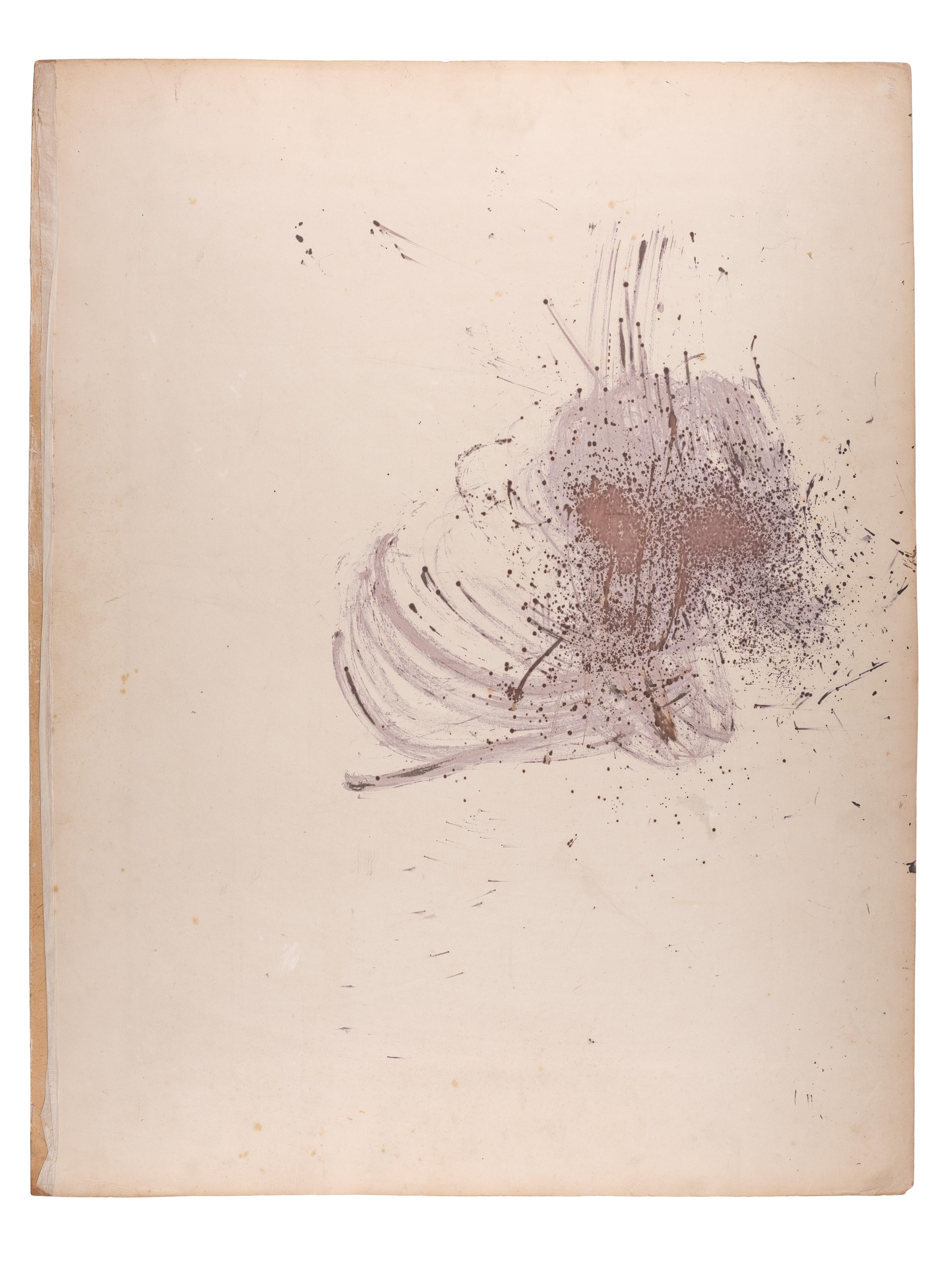 [WESTERN AMERICANA]. WATKINS, Carleton, photographer. The Cliff House, San Francisco, California.