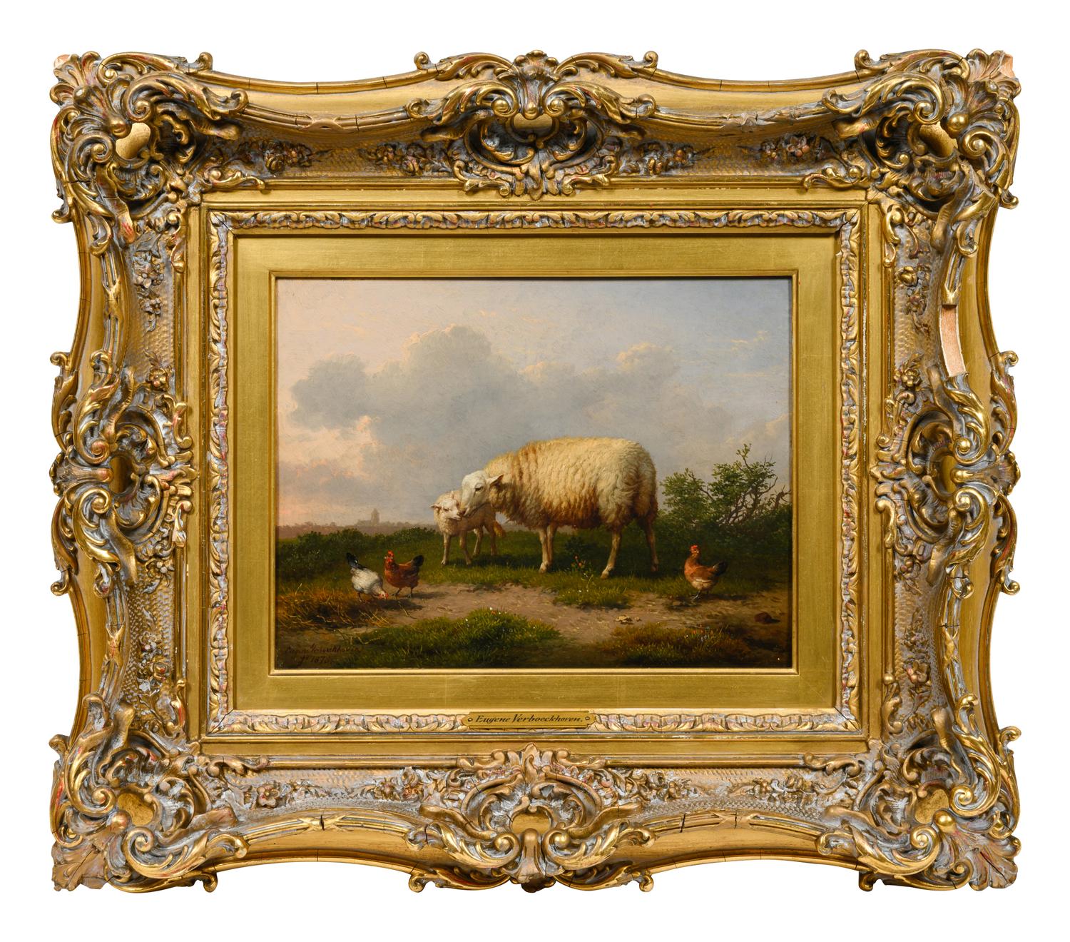 Sheep and Chickens