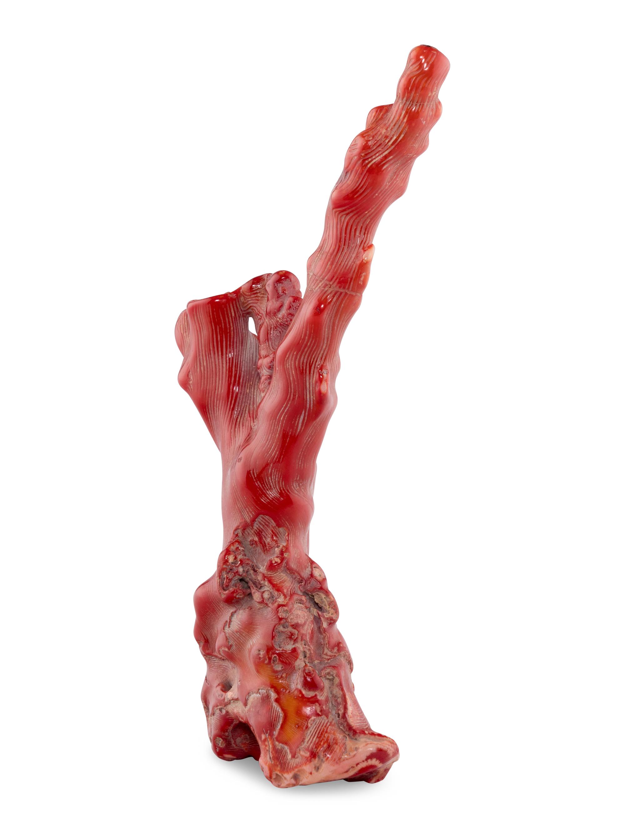 A Red Coral Specimen