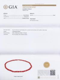 A Single Stranded Graduated Coral Bead Necklace, 50.20 dwts.