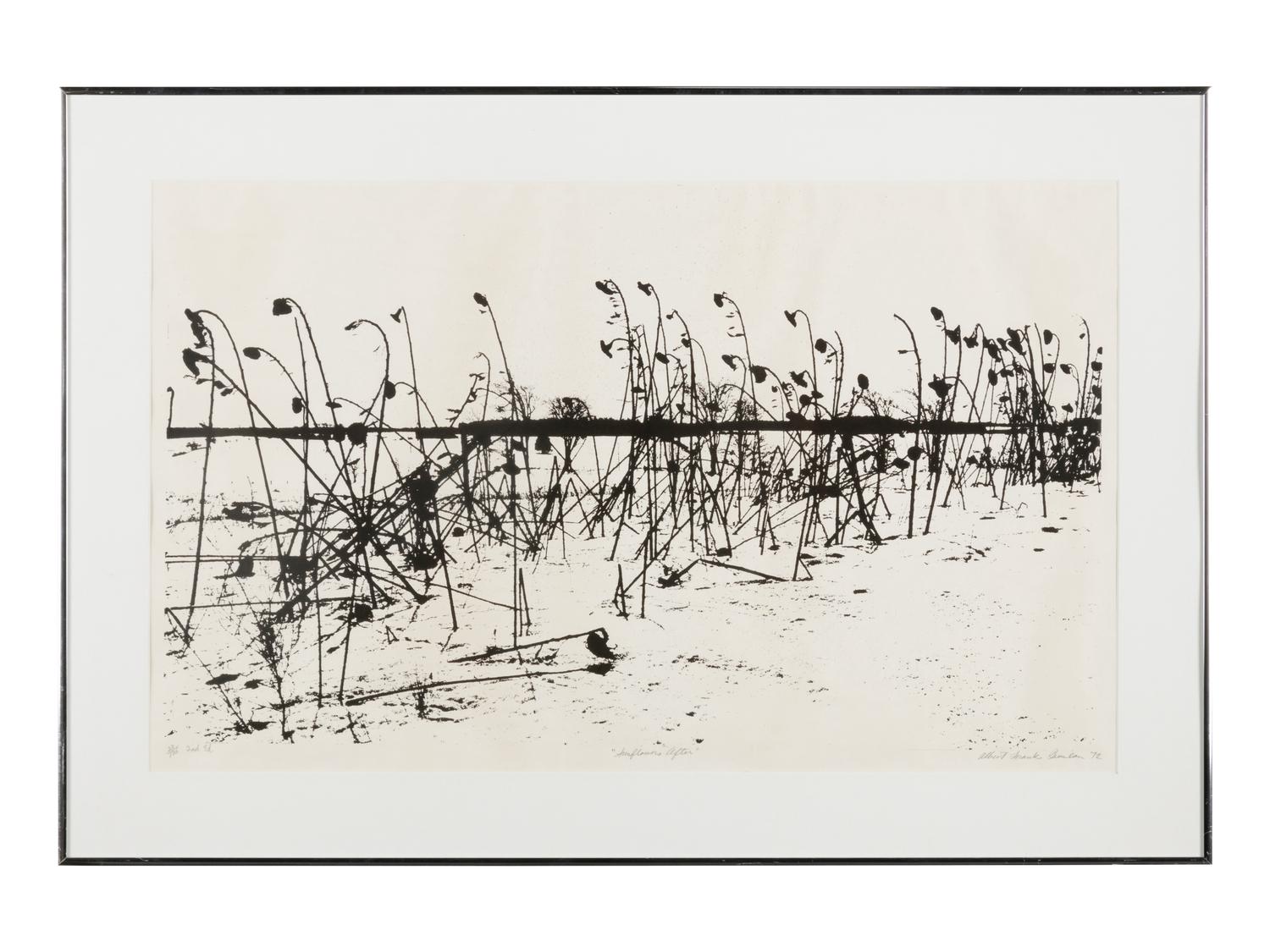 Mountain Grove, 1975 and Sunflowers After, 1972
