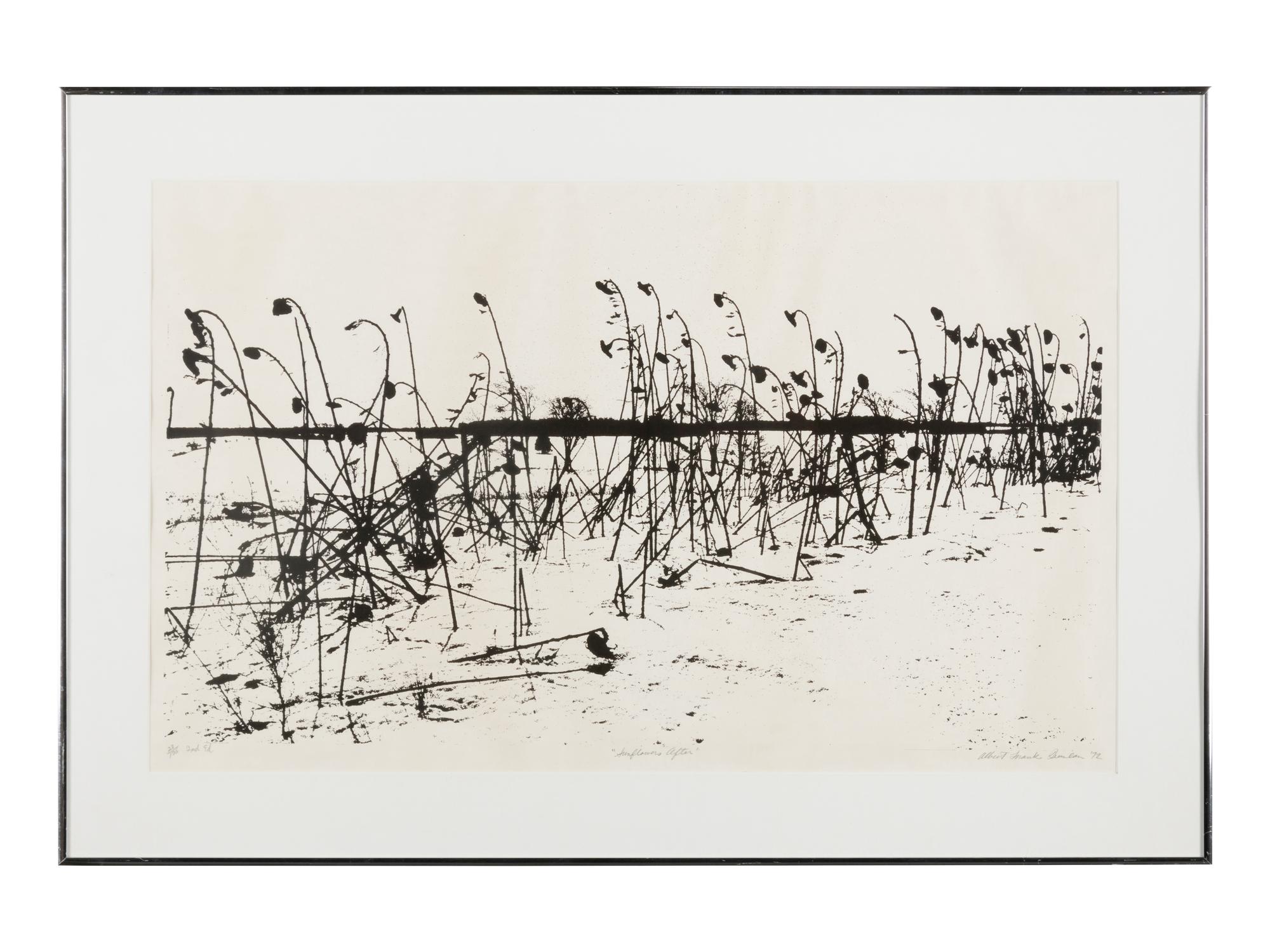 Mountain Grove, 1975 and Sunflowers After, 1972