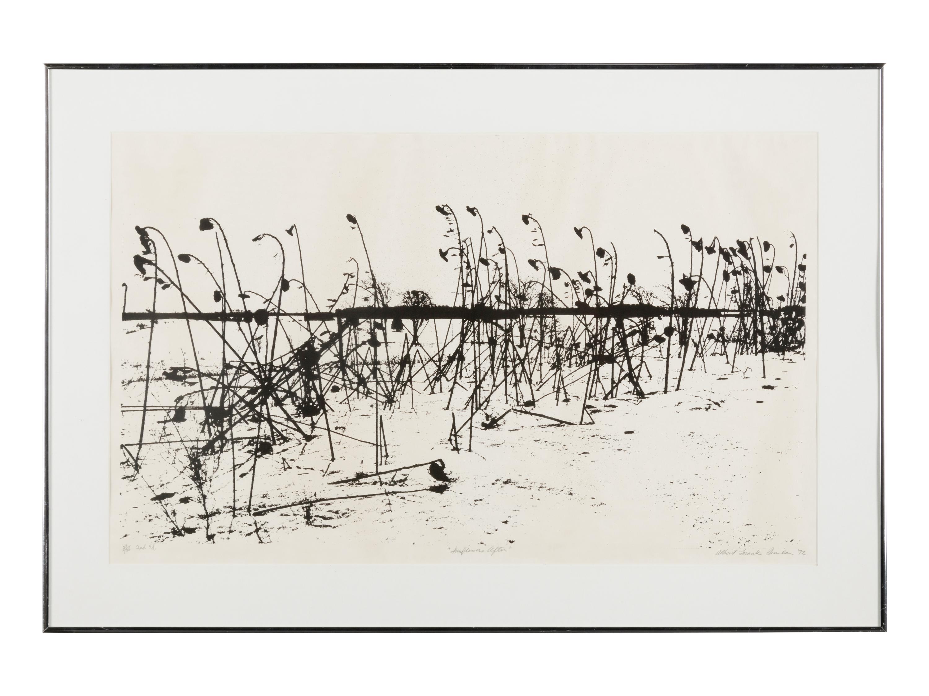 Mountain Grove, 1975 and Sunflowers After, 1972