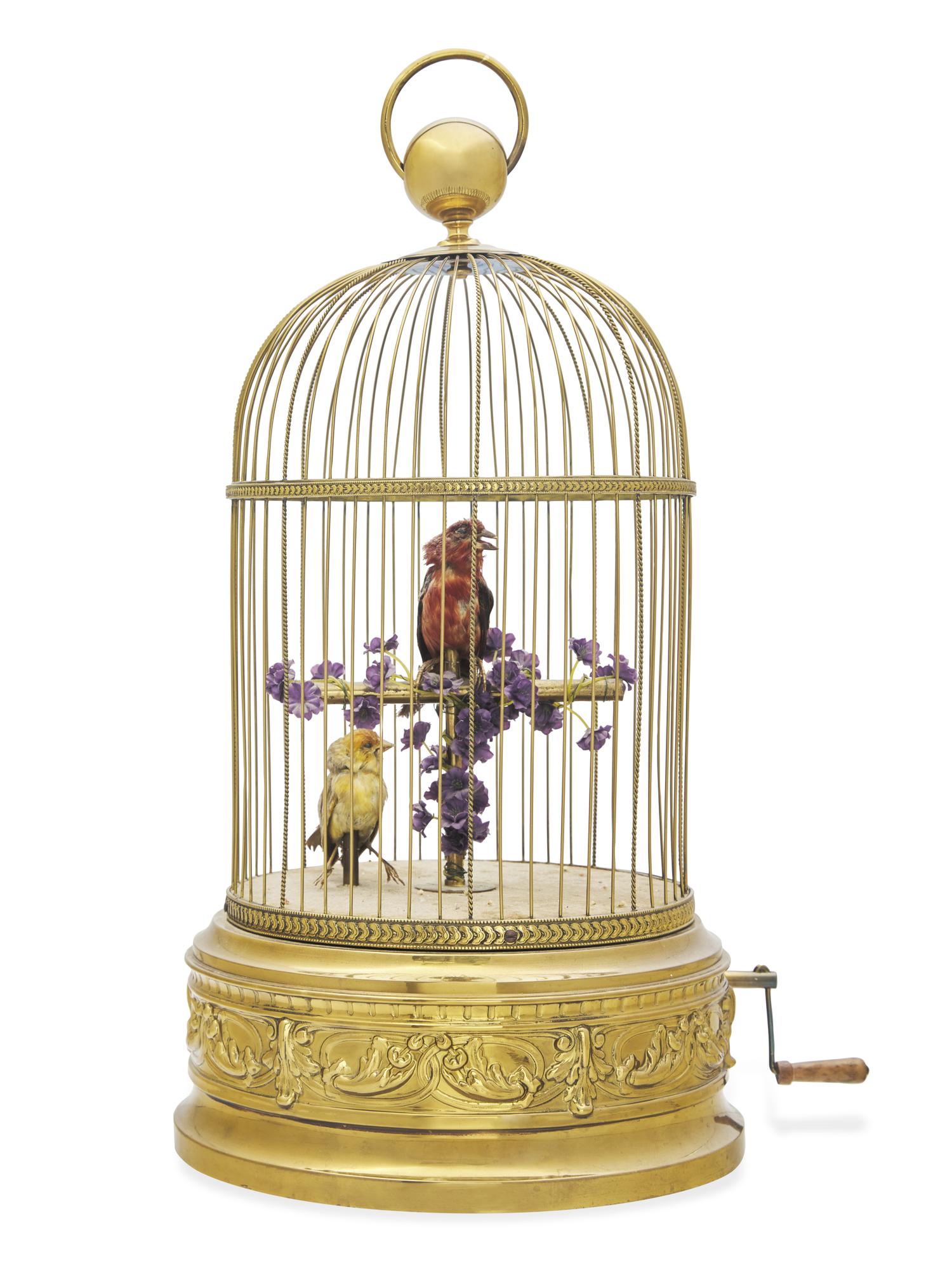 A Large Automaton Birdcage