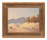 Sand Dune Contrasts