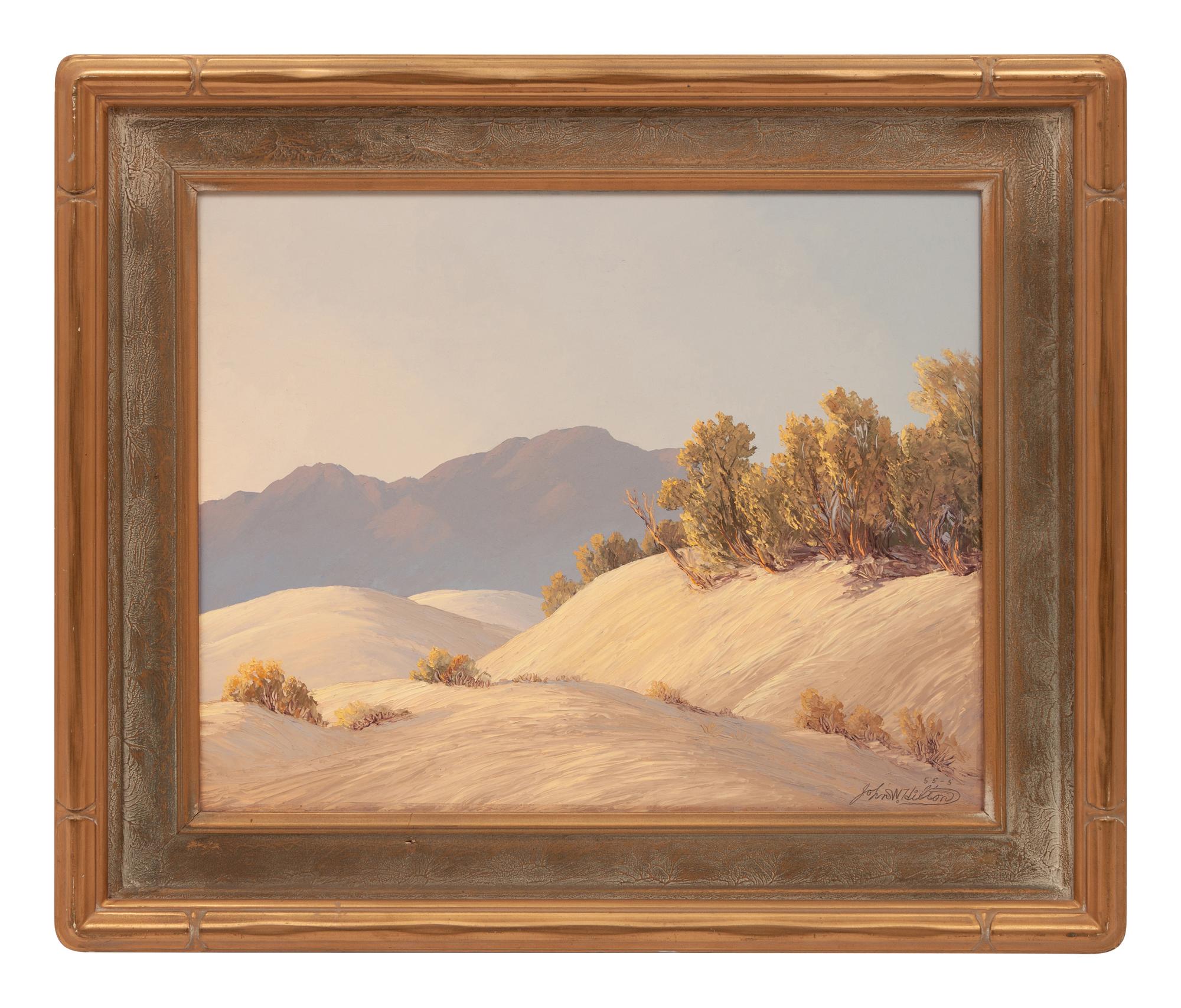 Sand Dune Contrasts