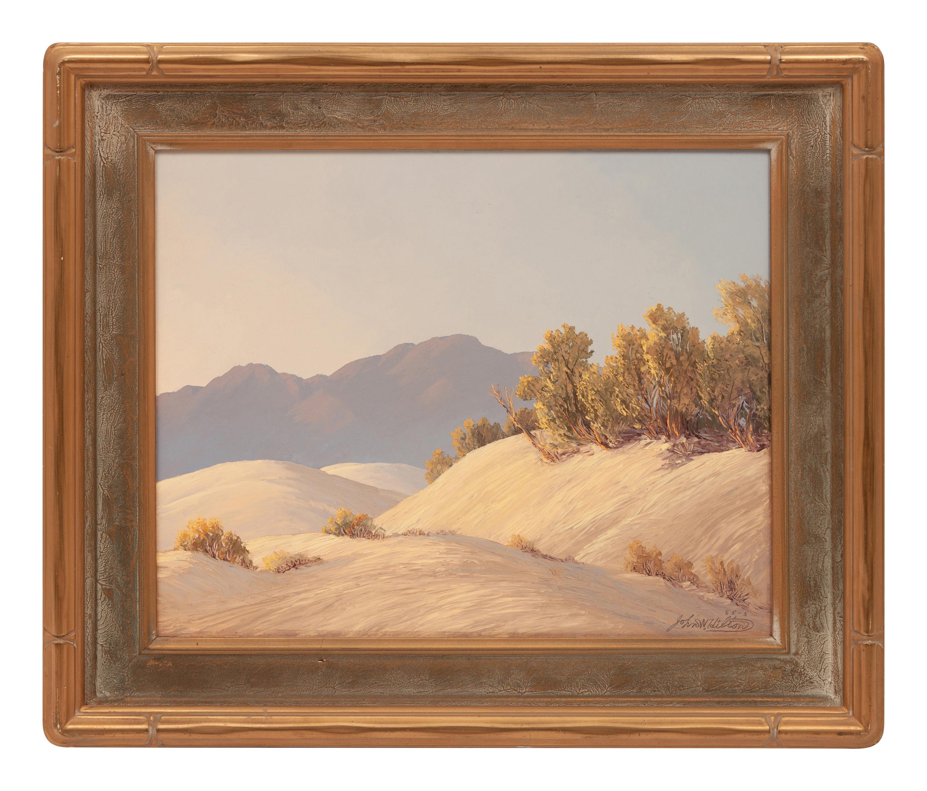 Sand Dune Contrasts
