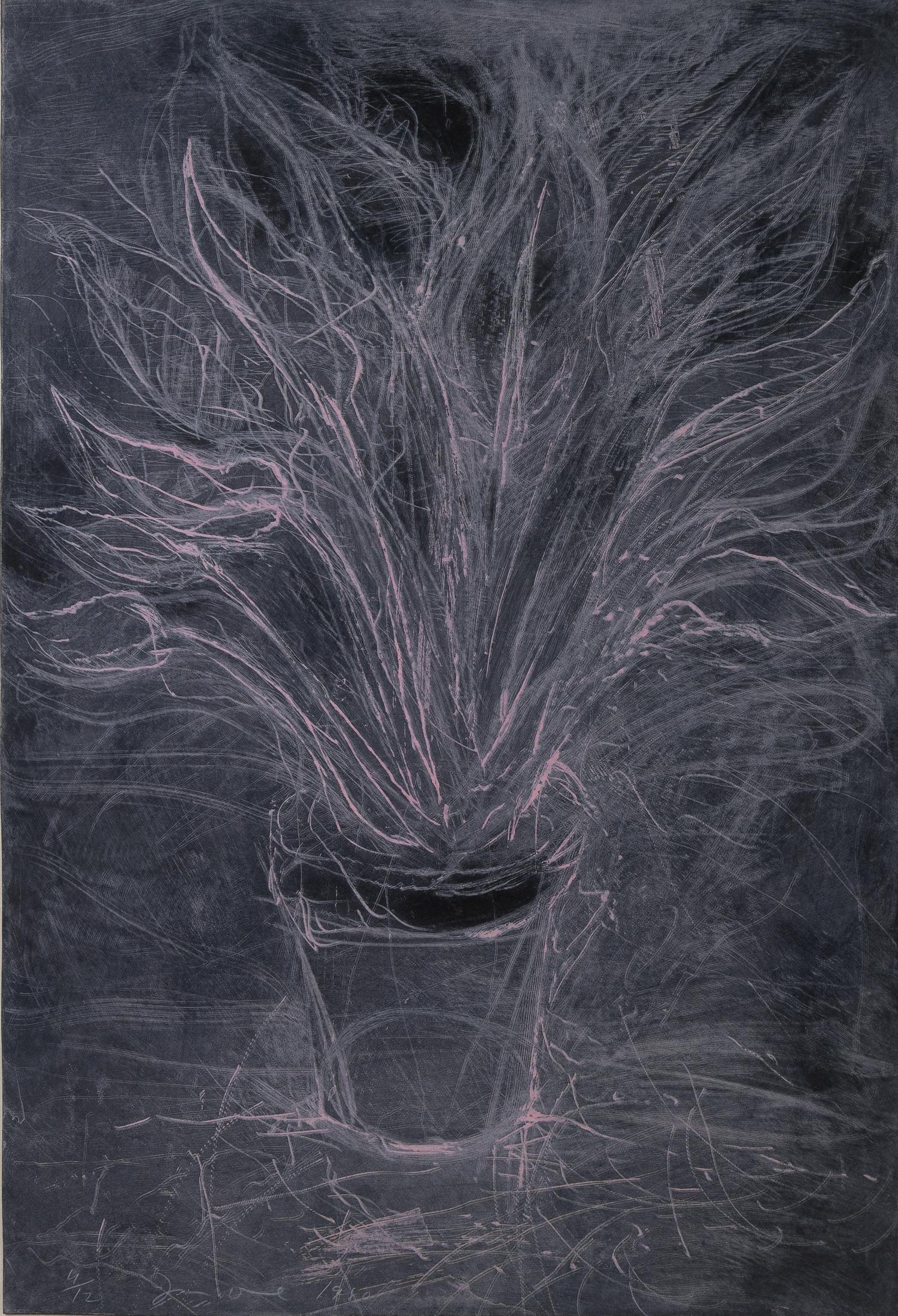 Jim Dine, (American, b. 1935), Pink Sterlitzia