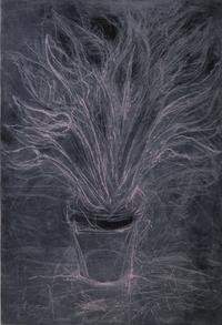 Jim Dine, (American, b. 1935), Pink Sterlitzia
