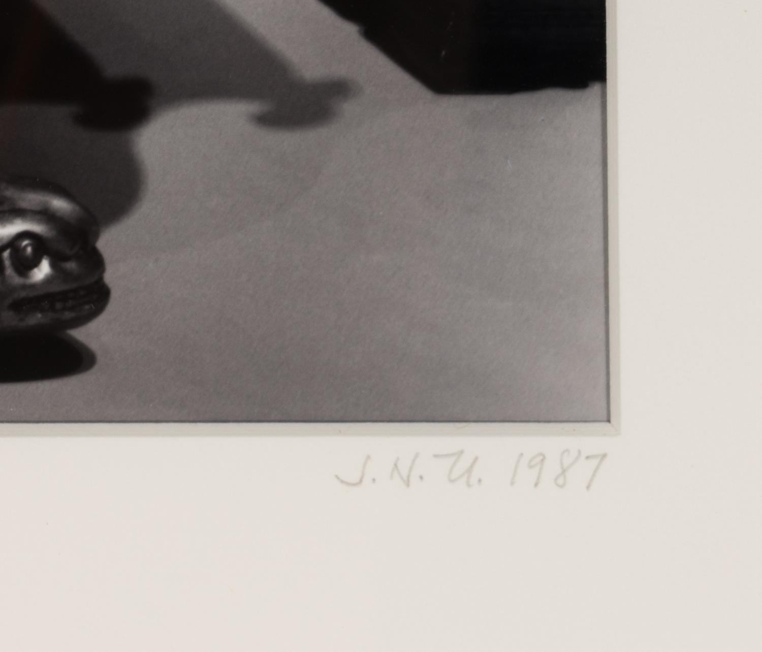 Untitled (Leaves Over Couch), 1987