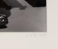 Untitled (Leaves Over Couch), 1987
