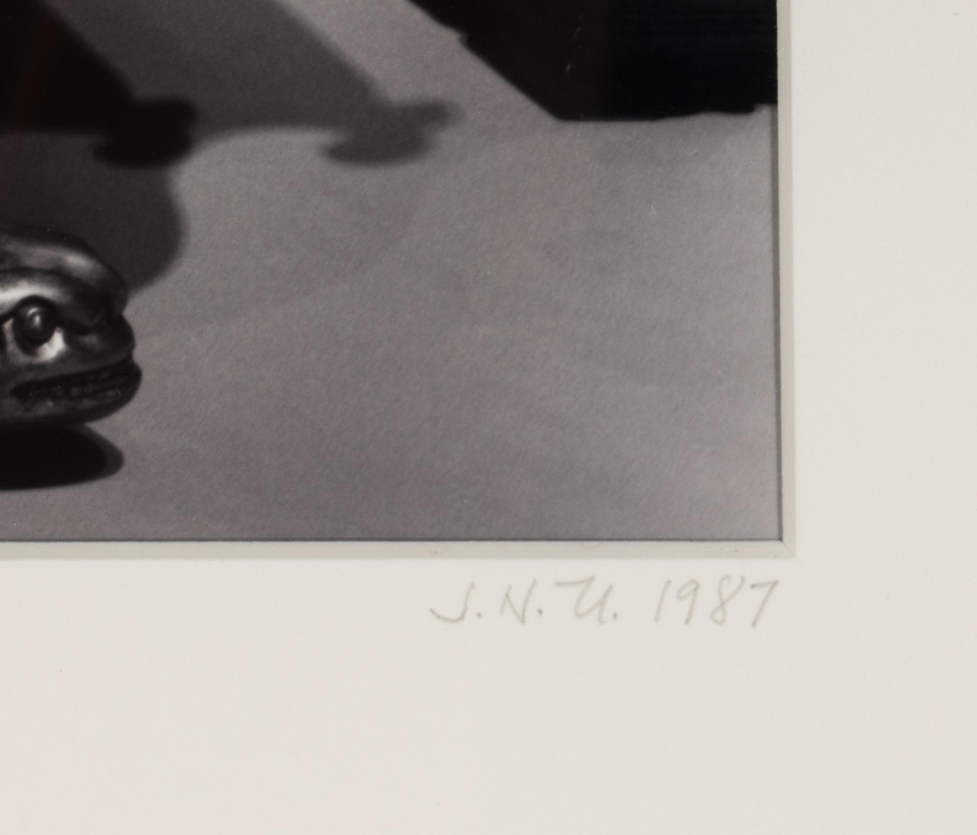 Untitled (Leaves Over Couch), 1987