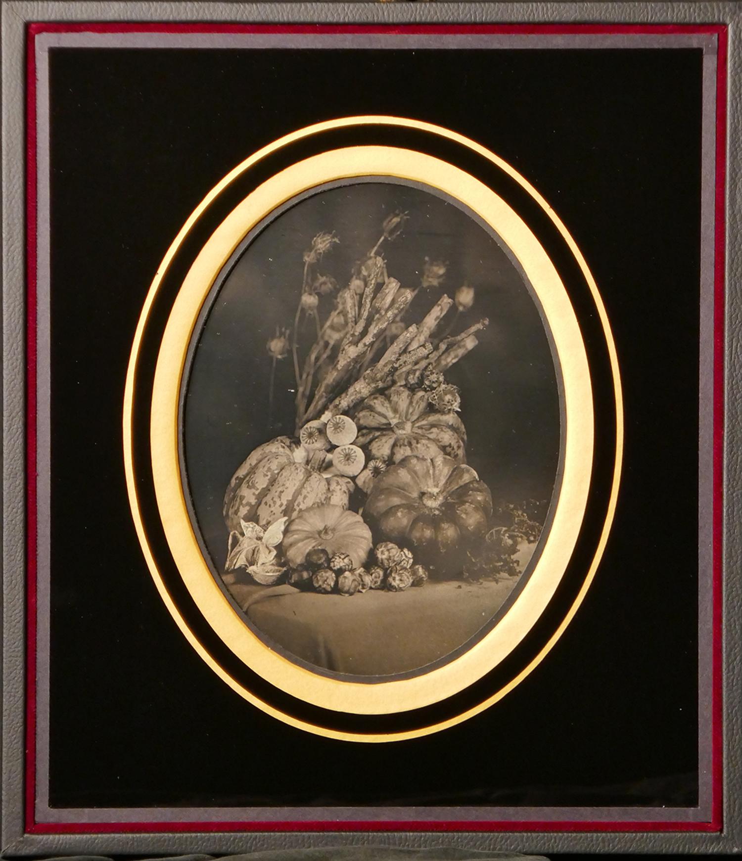 [Contemporary Daguerreotype by Gomme]