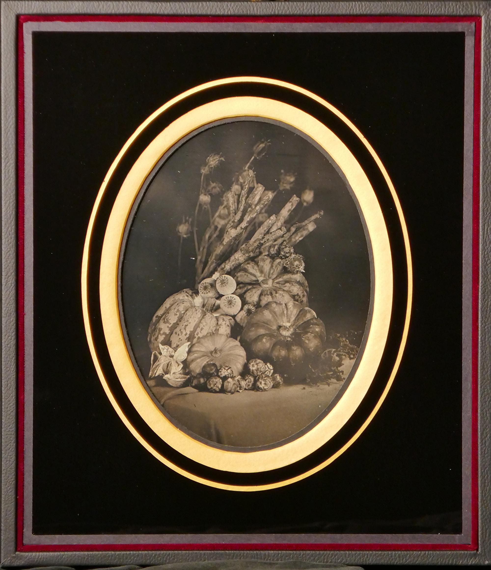 [Contemporary Daguerreotype by Gomme]