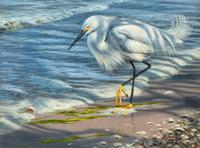 Snowy Egret , 2001