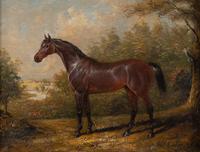 W. Coter (20th Century)