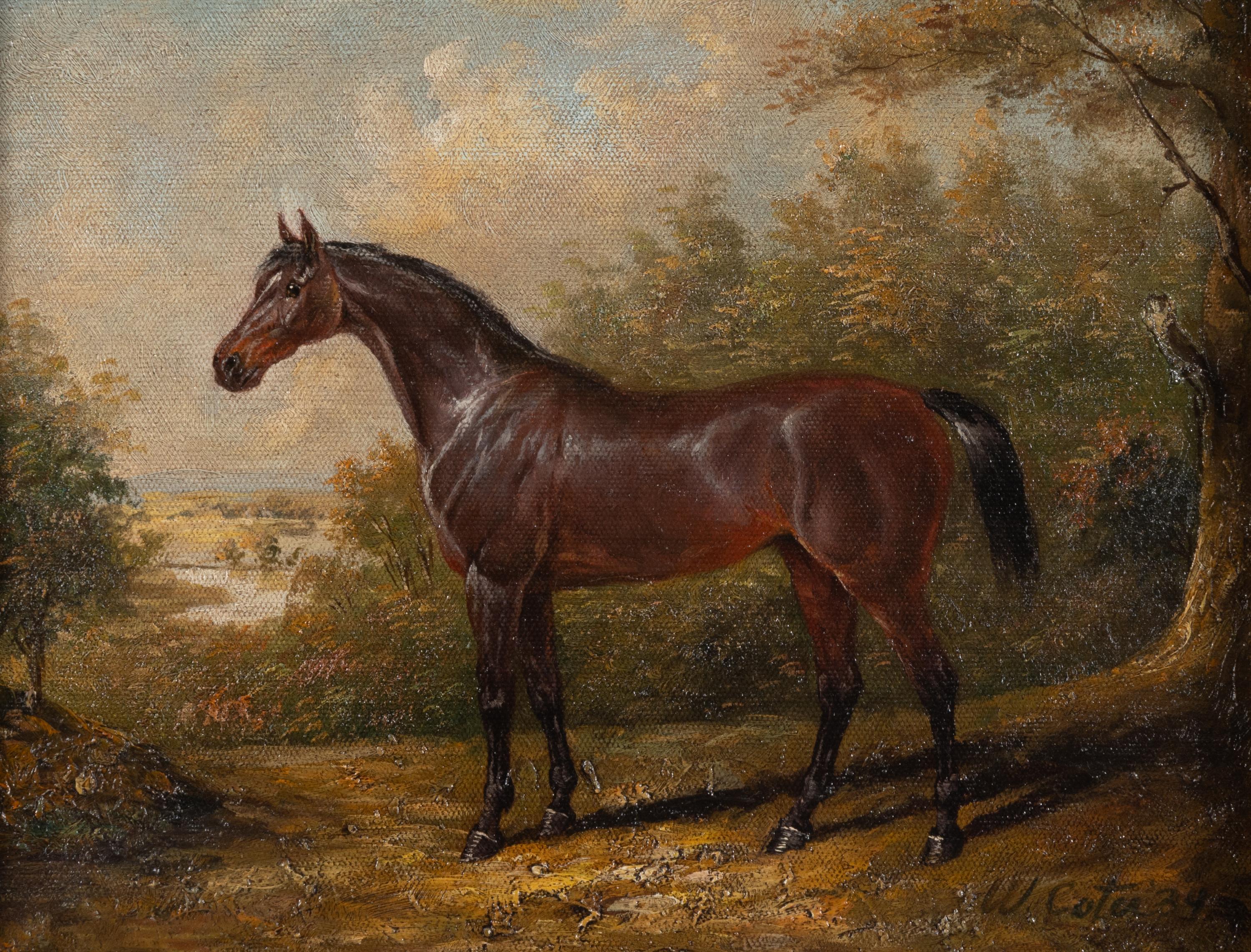 W. Coter (20th Century)