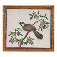 A Set of Four Chinese Watercolor Paintings