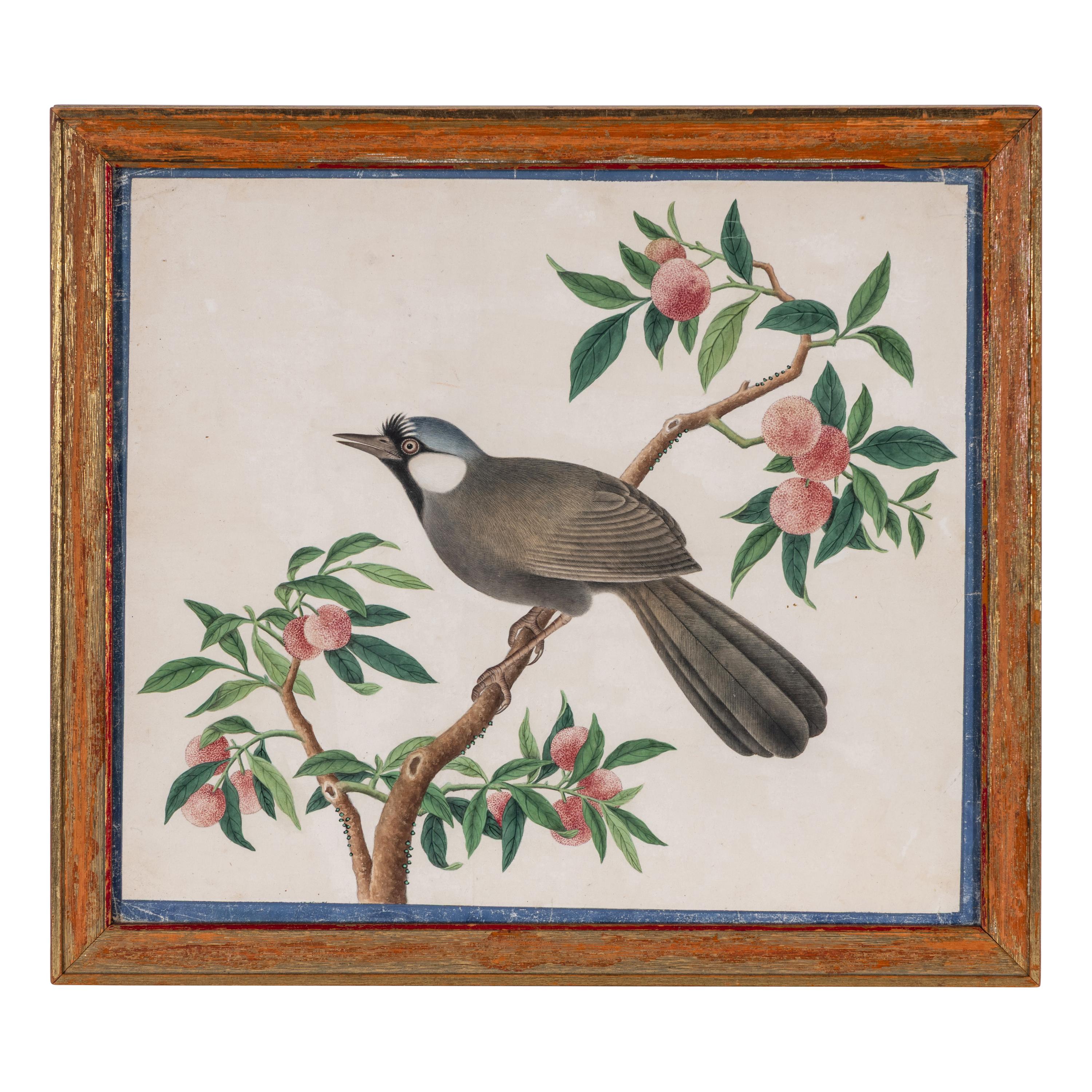 A Set of Four Chinese Watercolor Paintings