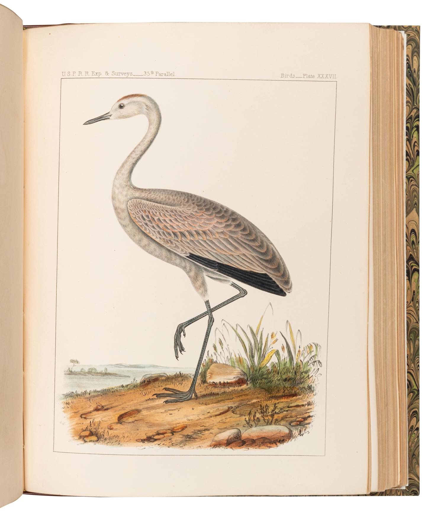 [EXPLORATION]. A group of 9 travel & exploration works, comprising: