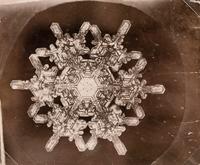 Snowflake , 1885-1931