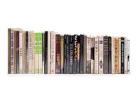 Collection of 36 Fashion and Magazine Photography Books