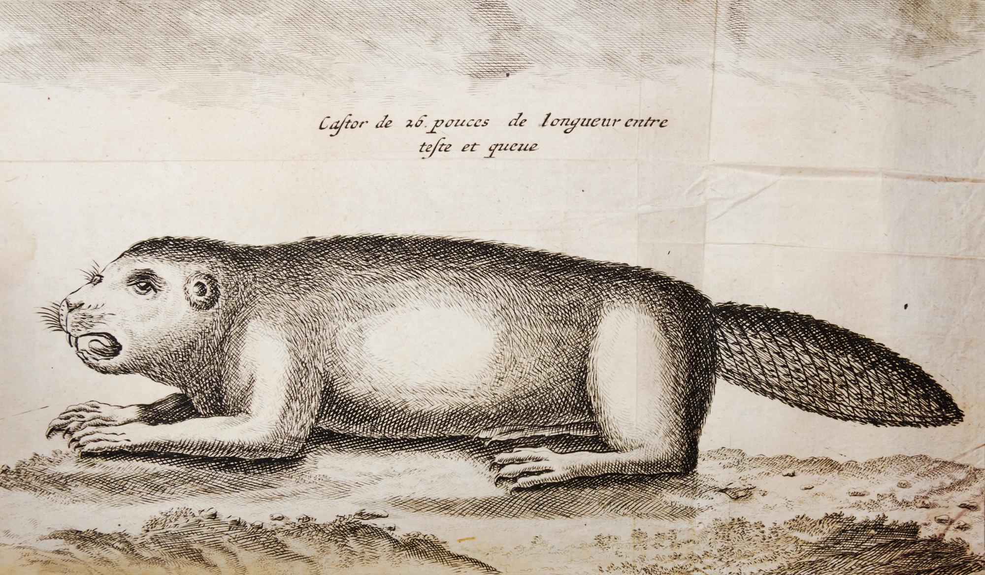 LA HONTAN, BARON. Voyages Du Baron De La Hontan dans L'Amerique Septentrionale.. Hague, 1705. 2 vols. w/maps.
