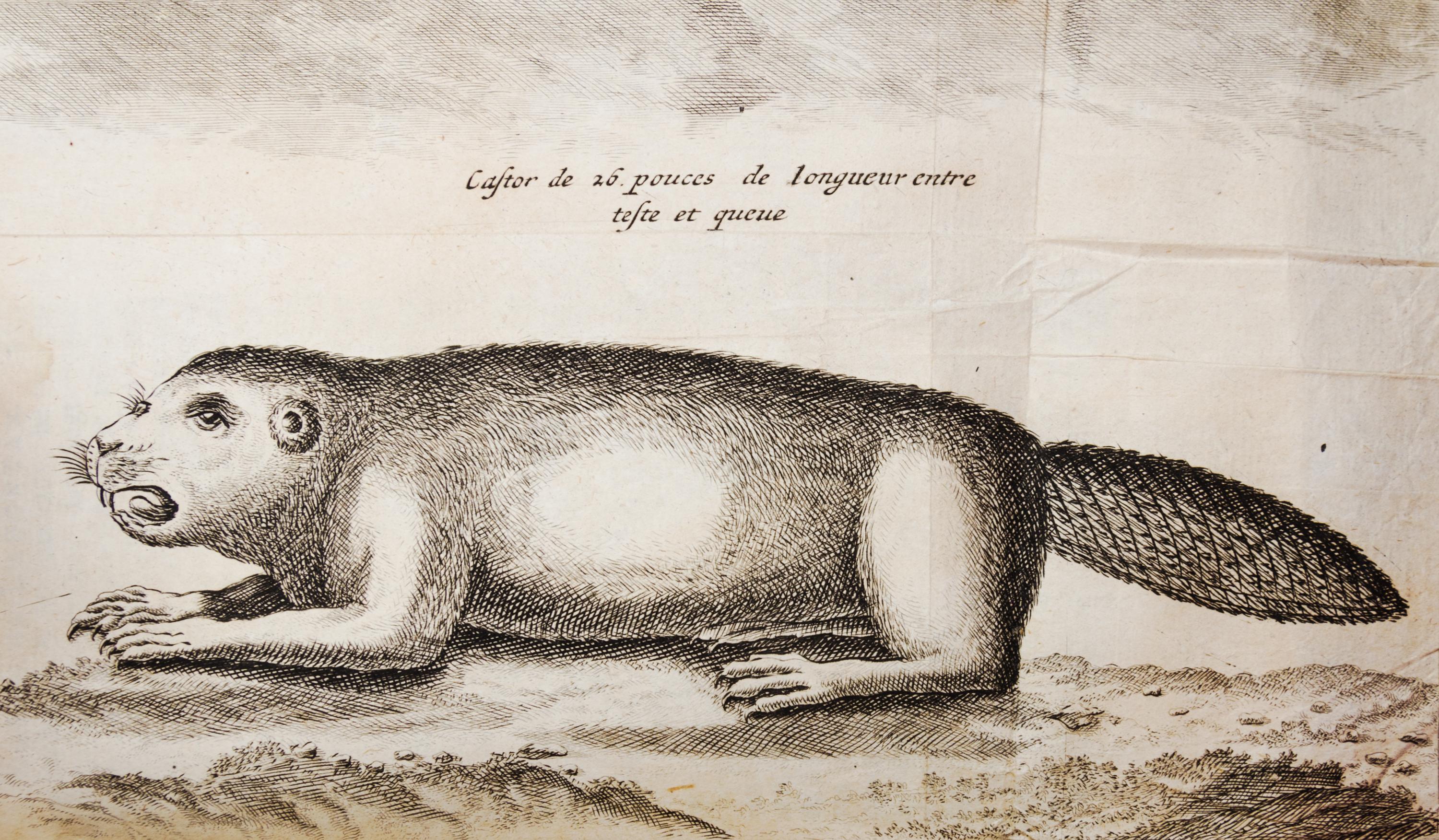 LA HONTAN, BARON. Voyages Du Baron De La Hontan dans L'Amerique Septentrionale.. Hague, 1705. 2 vols. w/maps.