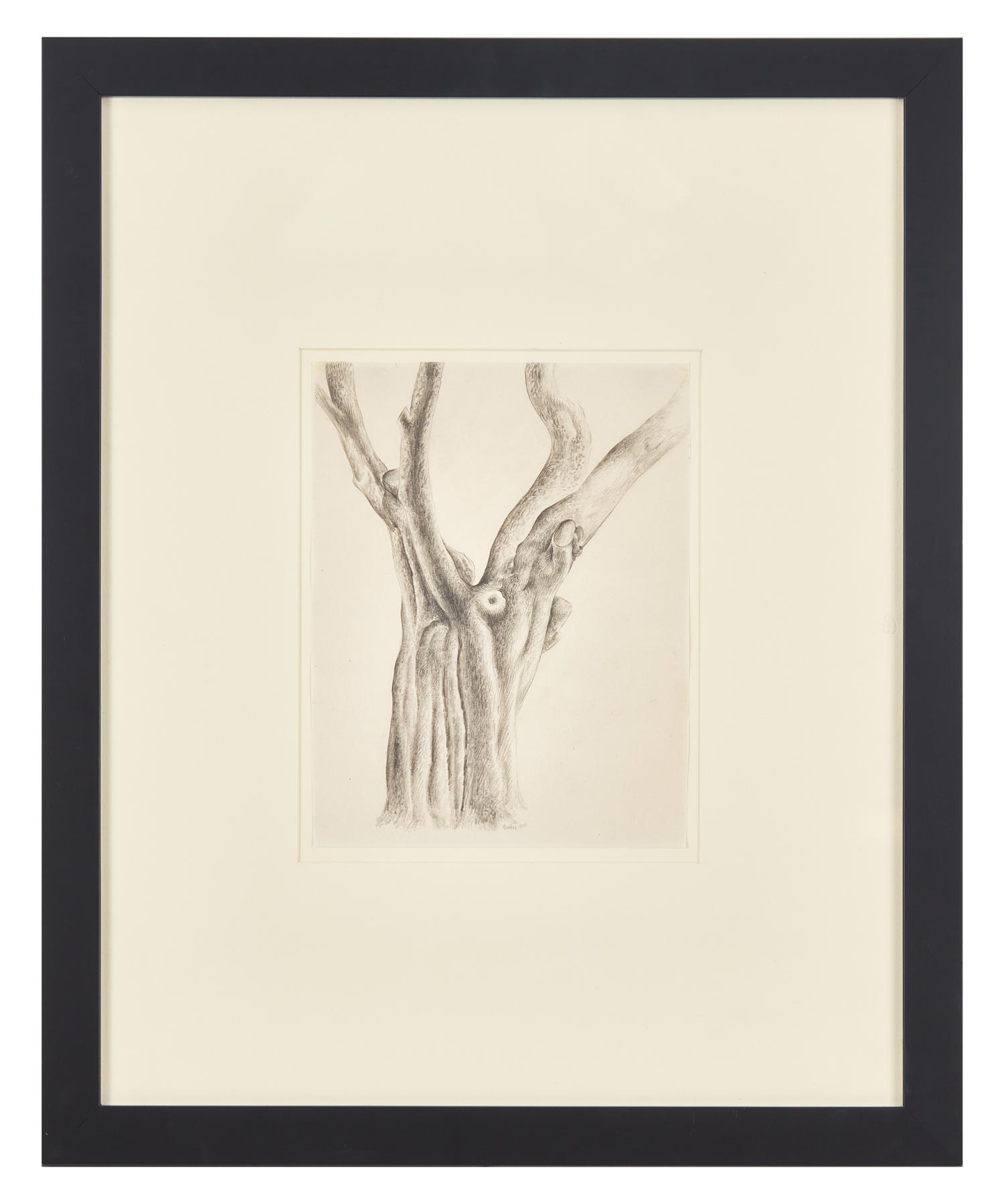 Tree, 1920