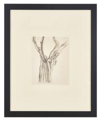 Tree, 1920