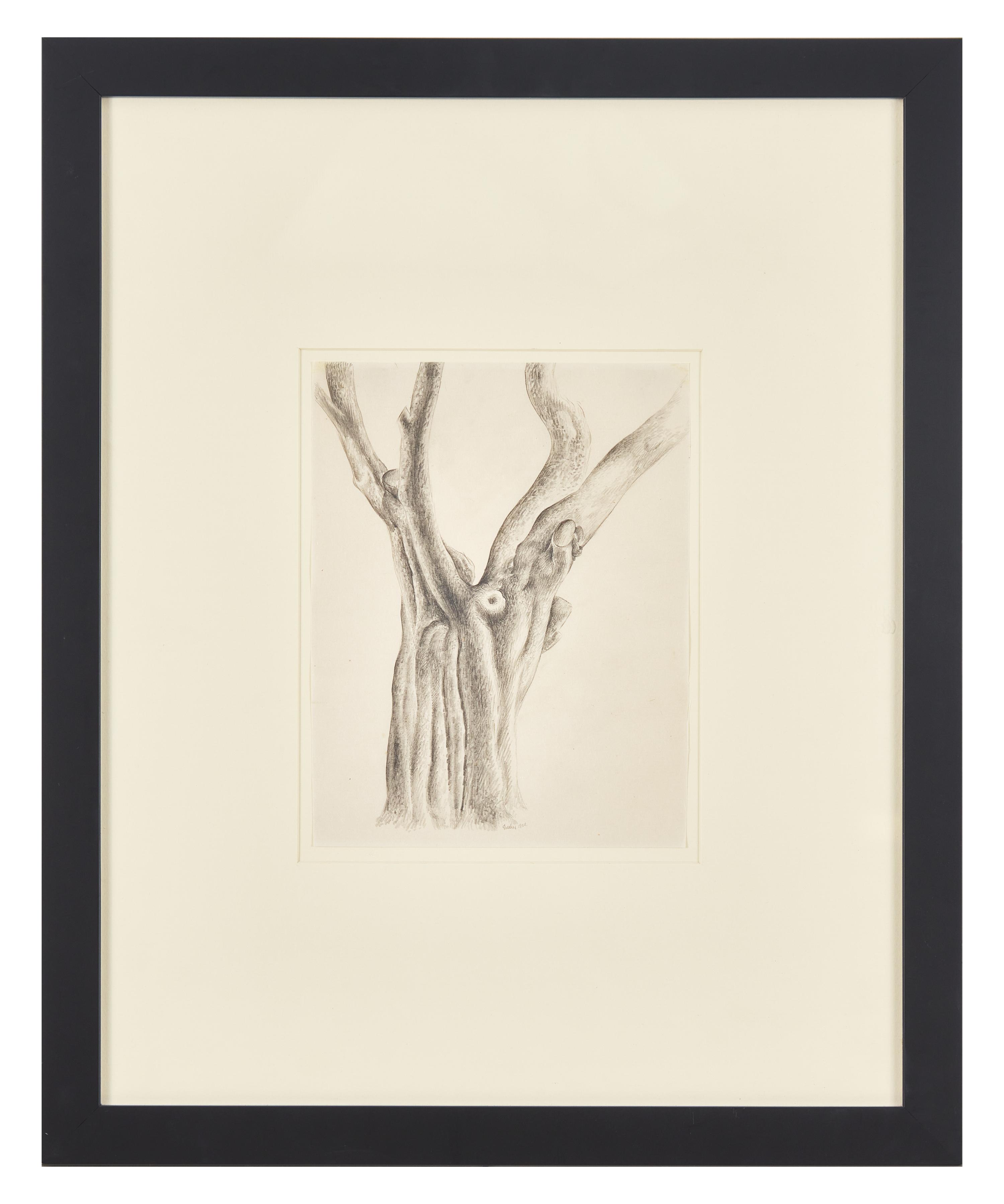 Tree, 1920