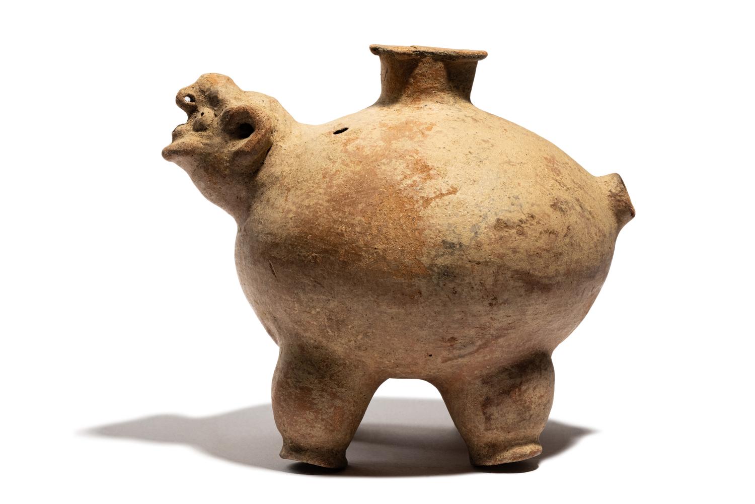 A Tairona Effigy Vessel in the Shape of a Turtle