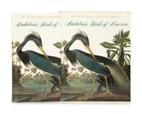 Audubon's Birds of America, by Roger Torey Peterson Baby Elephant Folio Abbeville Press, 1990 Revised Edition