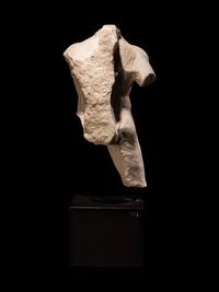 A Roman Marble Male Torso