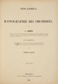 [Natural History] Linden, Jean Jules. Pescatorea. Iconographie des Orchidees