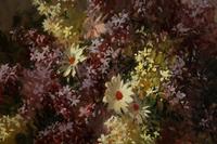 Lilacs and Daisies