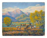 Antelope