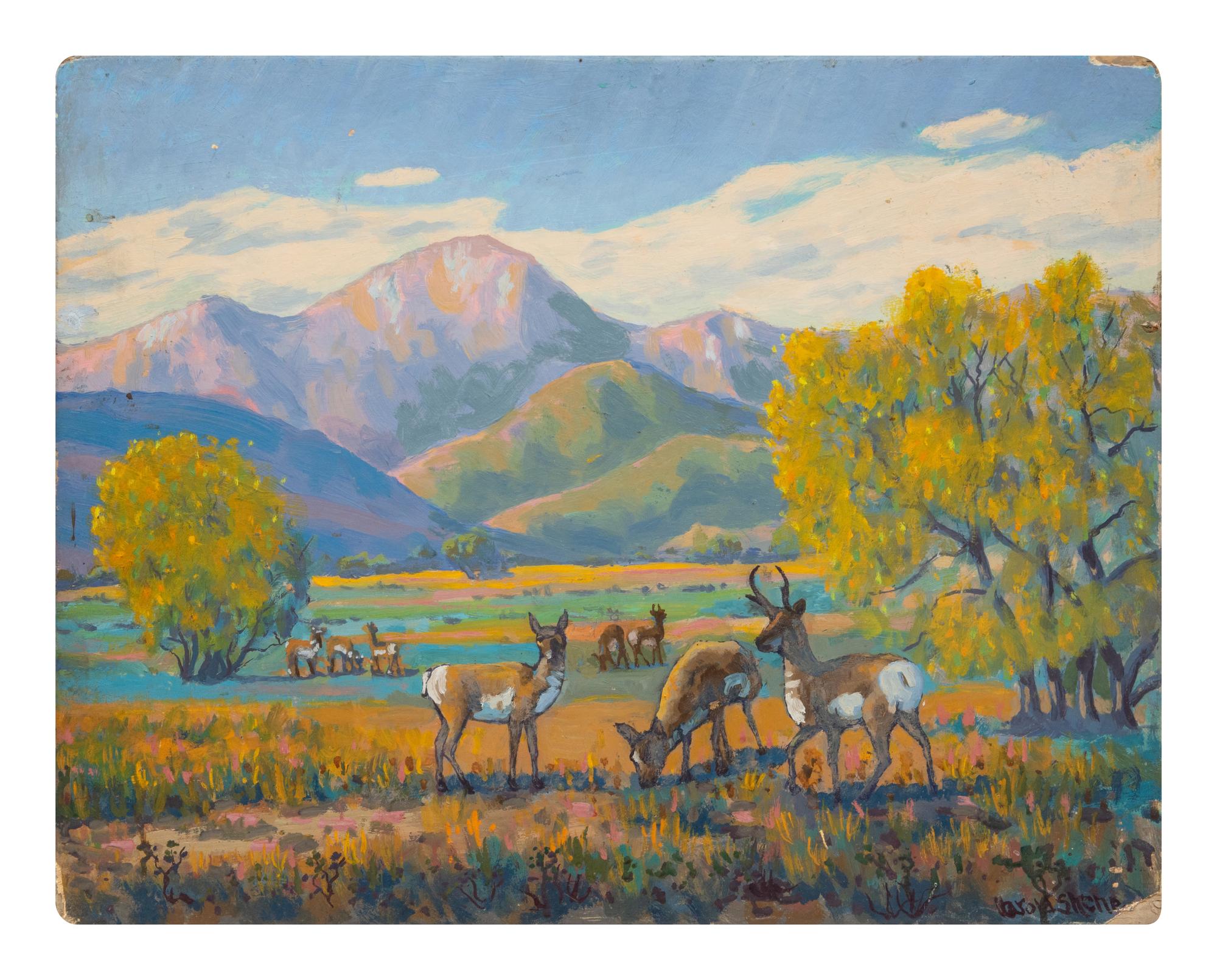 Antelope