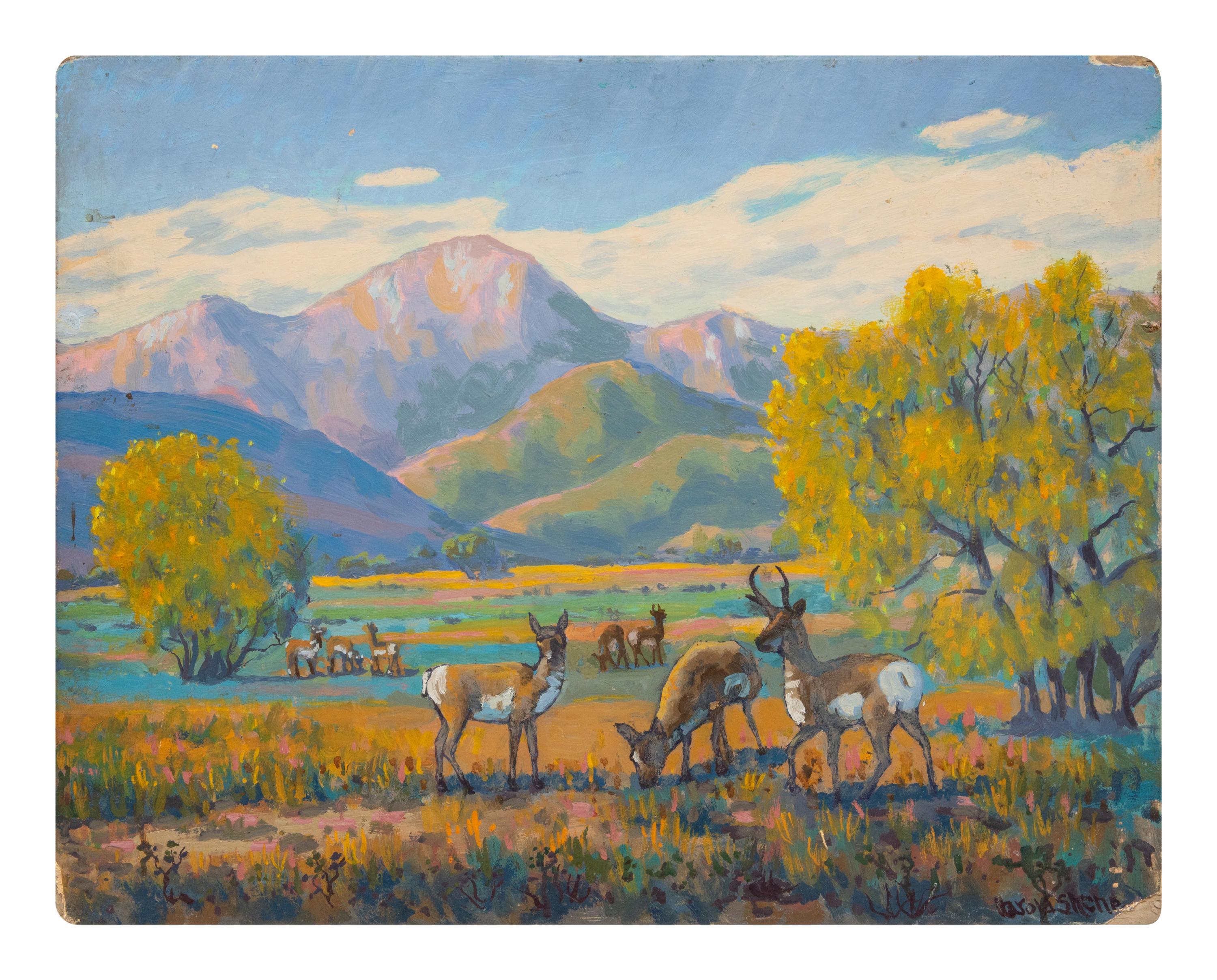 Antelope