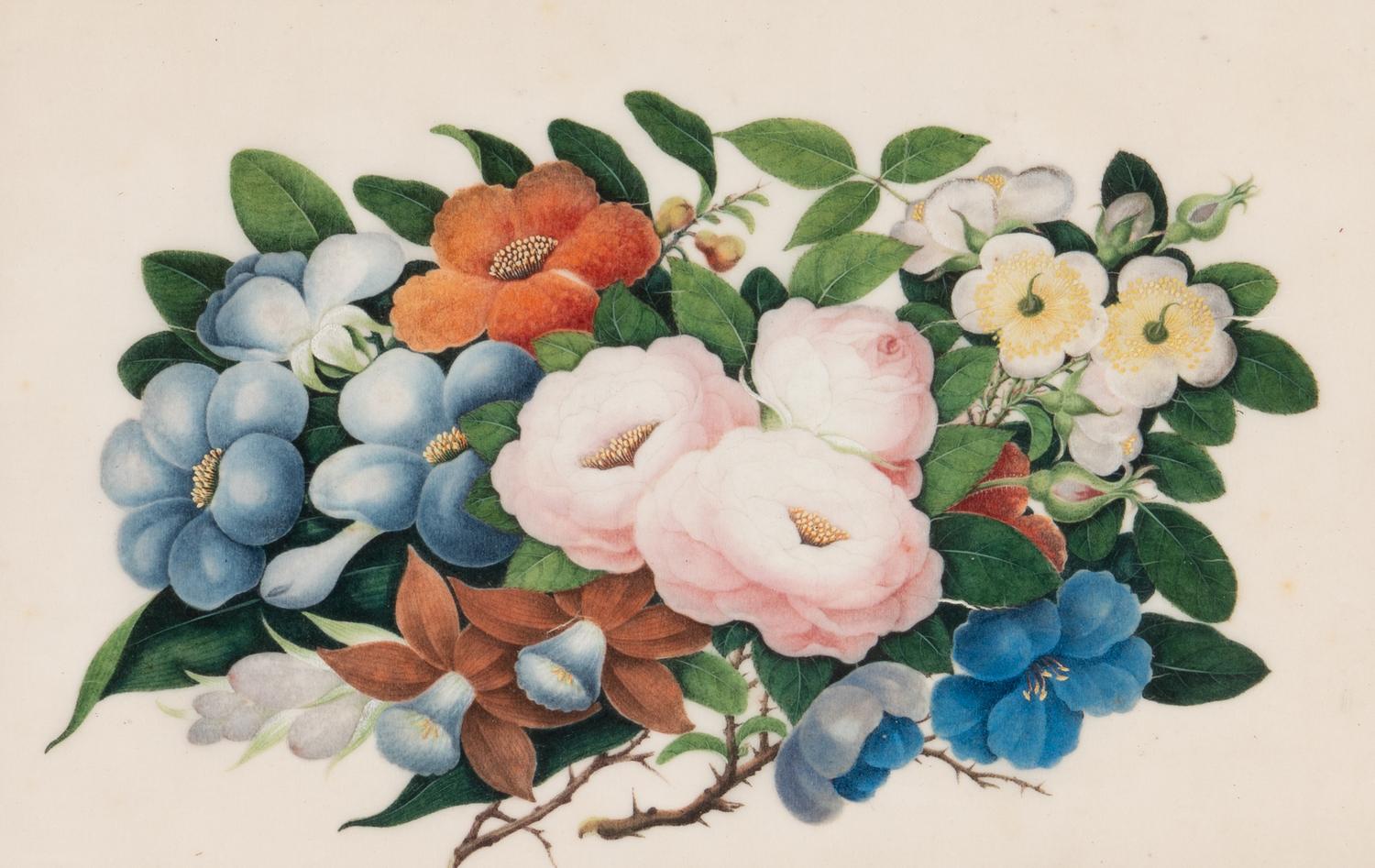 A Set of Twelve Chinese Export Watercolor and Pith Botanical Paintings